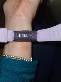 Fitbit Burn.jpg