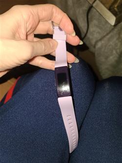 Fitbit HR_Violet.jpg