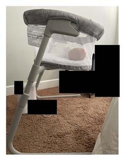 Bassinet_Redacted.jpg