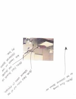 Charge 3 fire office pictures_Redacted_Page_1.jpg