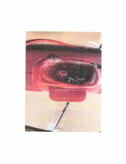 Charge 3 pictures_Redacted_Page_2.jpg