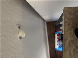 IMG_9524.jpeg