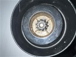 IMG_1894.jpeg