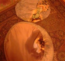 burnt-bottom-of-pet-bed.jpg