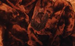 burnt-fur-coat.jpg