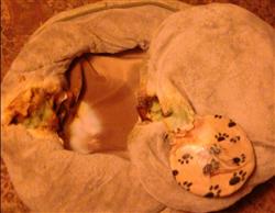 burnt-top-pet-bed.jpg